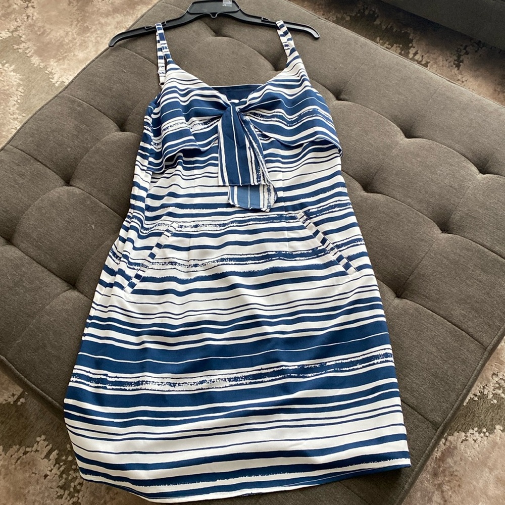 Cabi Dark Blue and White Dress